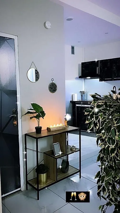 Nuit Privee Apartment Cannes